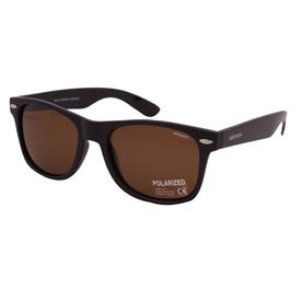 Солнцезащитные очки BRENDA A501L-mat-black-black-brown купить в интернет магазине, модель в наличии, описание, характеристики, фото на сайте